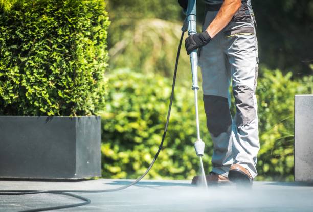 Animal Enclosure Cleaning in Bay Point, CA