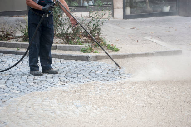Best Dumpster Area Cleaning  in Bay Point, CA